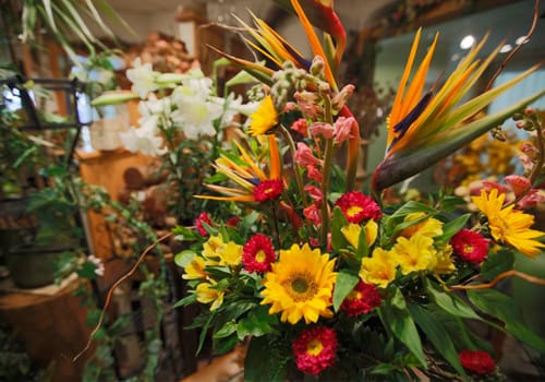 Accent on Wildflowers | Snowmass Village Mall Retail & Services