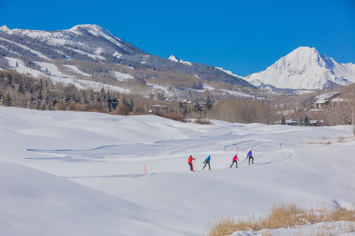 Image for Cross Country Skiing