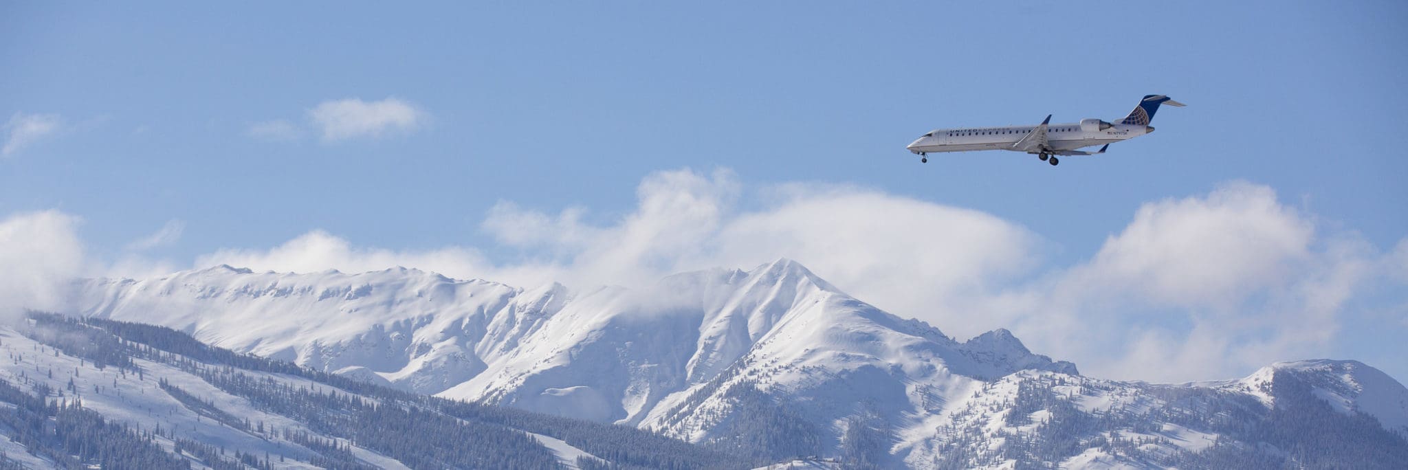 Eagle flying in winter ar snowmass