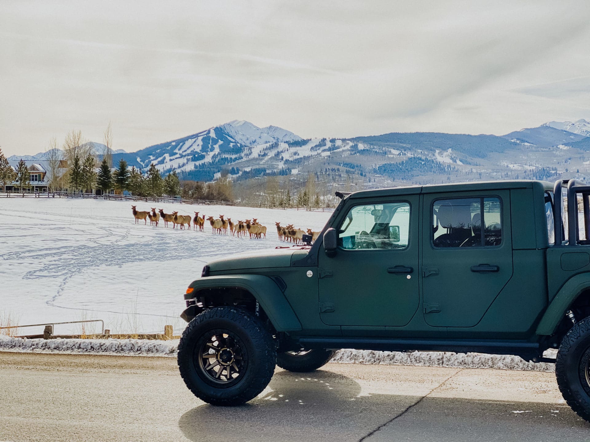 Image for Aspen Jeeps