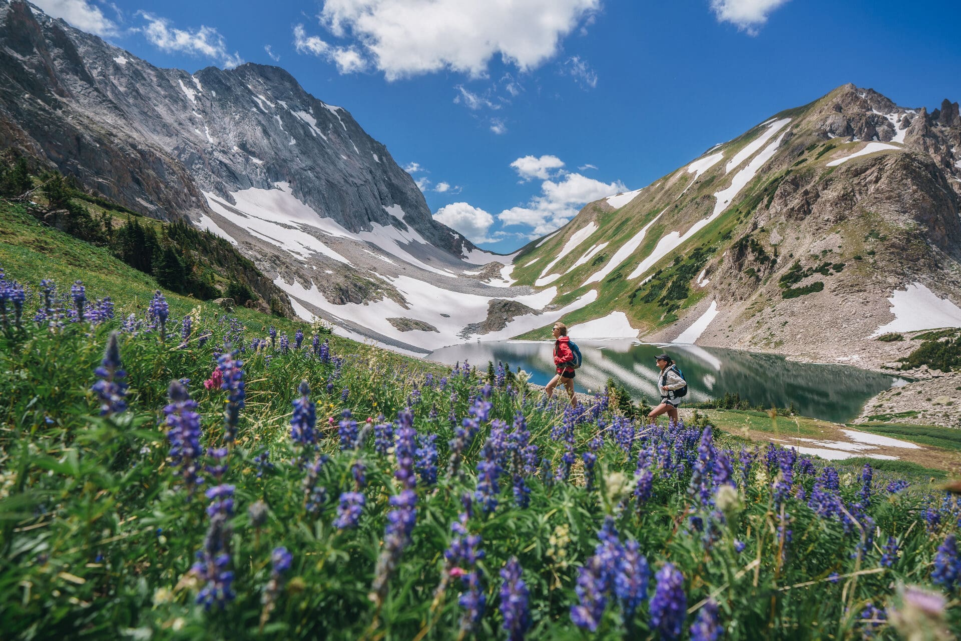 Snowmass_GlacierHike_Wildflowers_TamaraSusa_BTX03191-Edit-2_noexp